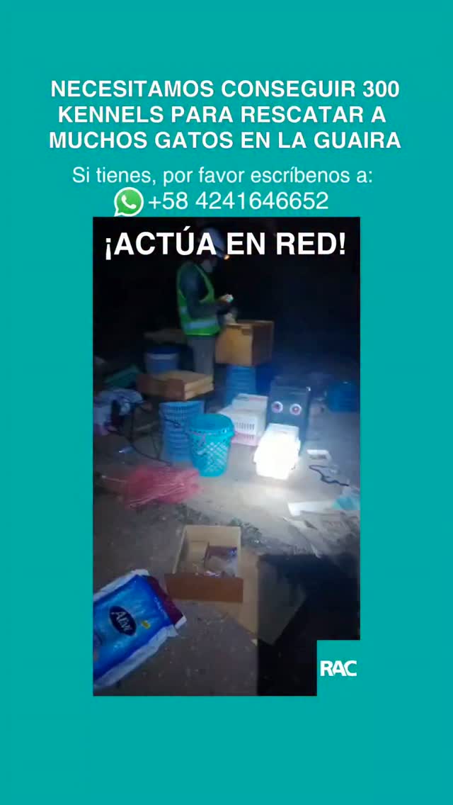 Necesitamos Kennels!